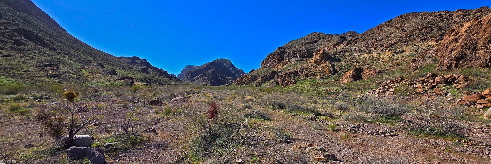 Many Broad, Wide Side Washes. This One Heads Toward Lonesome Peak. | Lonesome Wash Upper Entrance | Eldorado Wilderness, Nevada