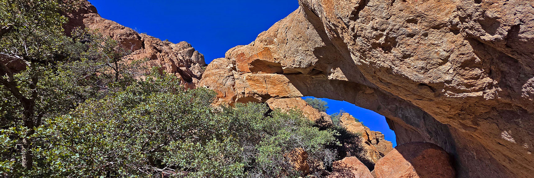 East Side of Arch Has Better Morning Light, But Obscured by Brush & Trees | Murl Emery Arch | Eldorado Wilderness, Nevada