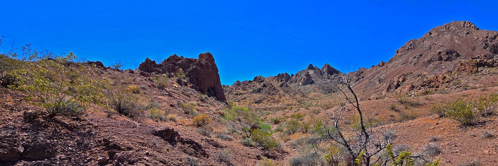 Round Right Side of Large Rock, Head Down North Lonesome Wash | Forlorn Hope Peak South and Peak 2720 West, Eldorado Wilderness, Nevada