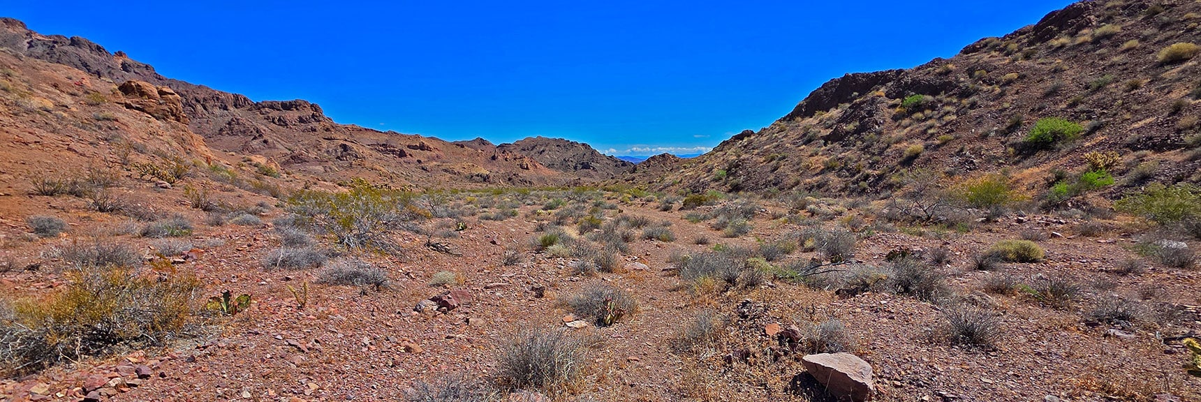 Head Down North Lonesome Wash Toward Peak 2720 | Forlorn Hope Peak South and Peak 2720 West, Eldorado Wilderness, Nevada