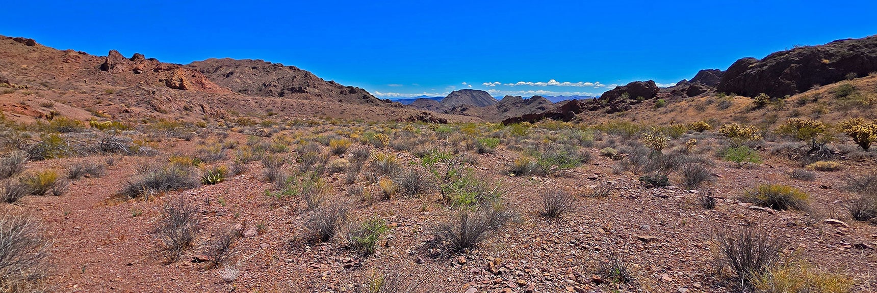Continue Toward Squarish Peak 2720 in Distance | Forlorn Hope Peak South and Peak 2720 West, Eldorado Wilderness, Nevada