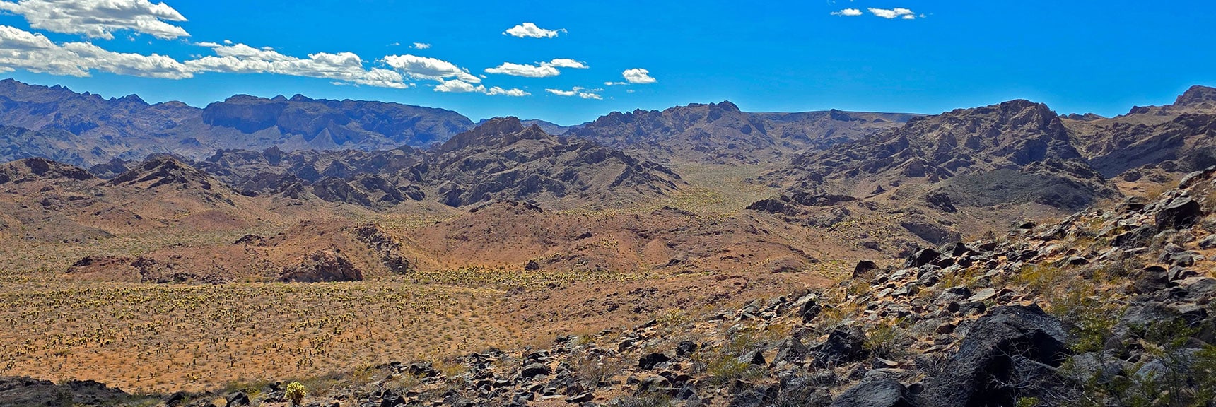 View Back Up North Lonesome Wash Toward Mohave Overlook | Forlorn Hope Peak South and Peak 2720 West, Eldorado Wilderness, Nevada