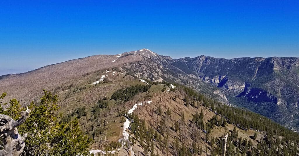 Griffith Peak & Charleston Peak Circuit | Mt. Charleston Wilderness | Spring Mountains, Nevada