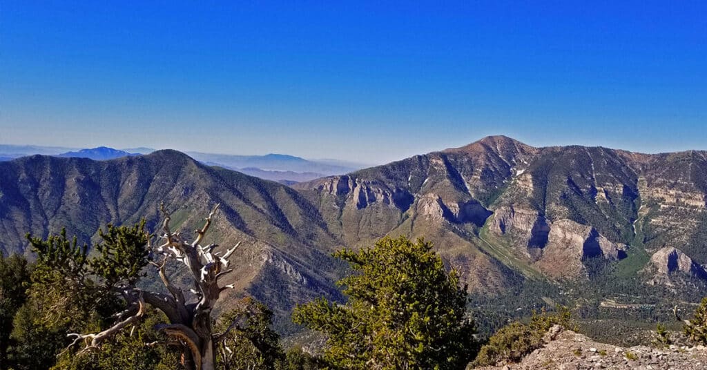 Griffith Peak Harris Mountain Circuit | Mt. Charleston Wilderness | Spring Mountains, Nevada