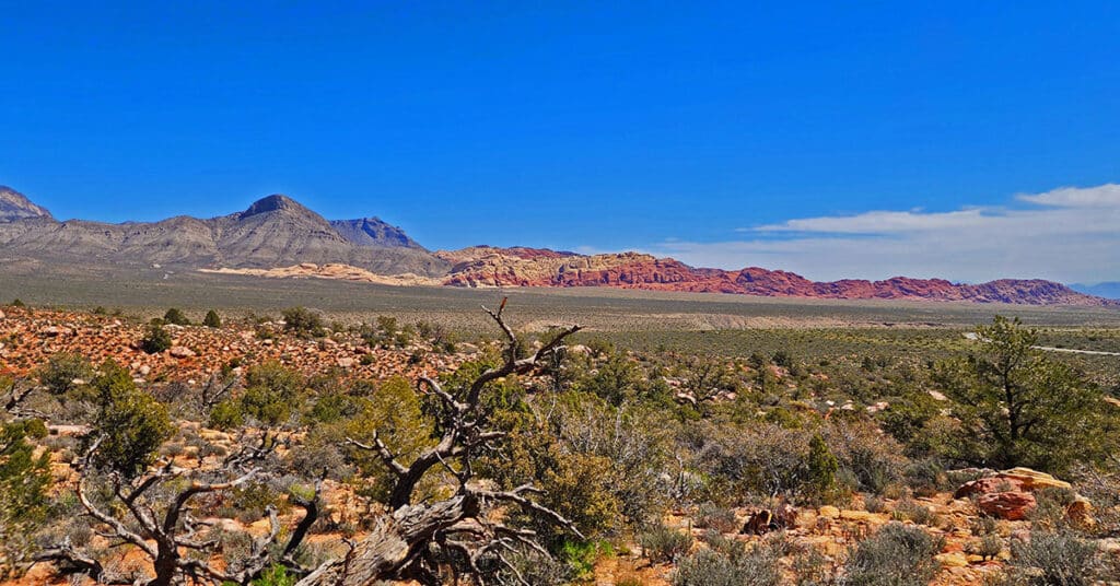 Eastern Red Rock Canyon Overview, Nevada