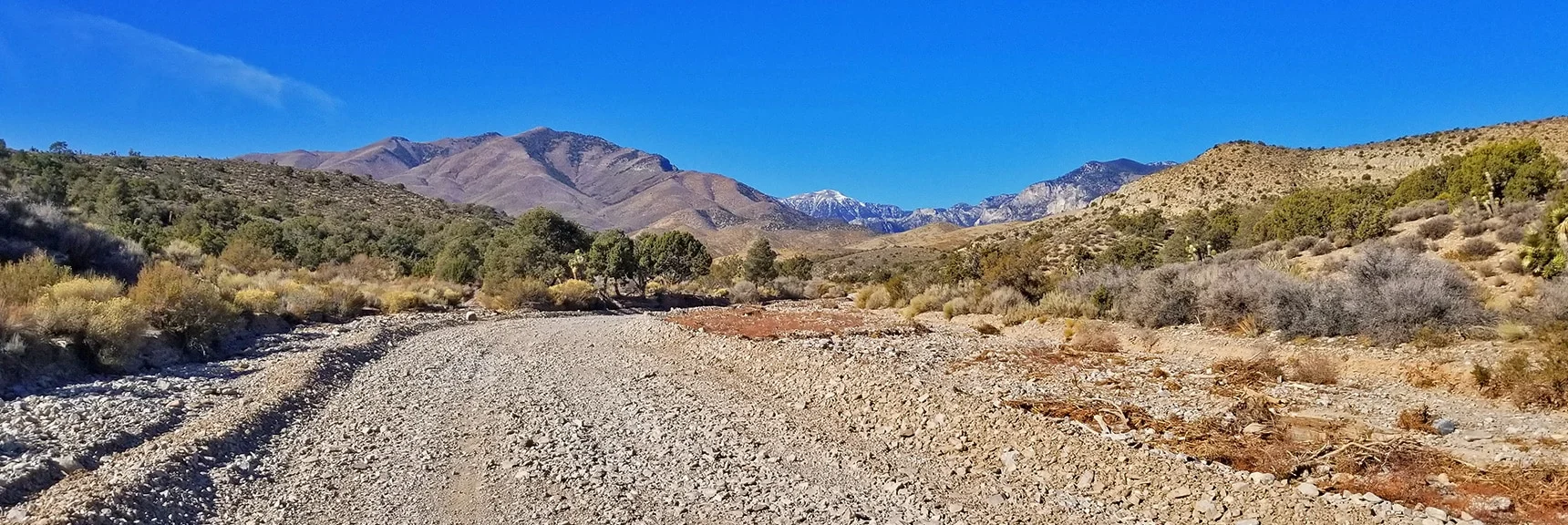 View Up Harris Springs Rd Toward Harris Mt., Charleston Peak and Fletcher Peak | Harris Springs Rd, Harris Mountain Rd | Spring Mountains Wilderness, Nevada