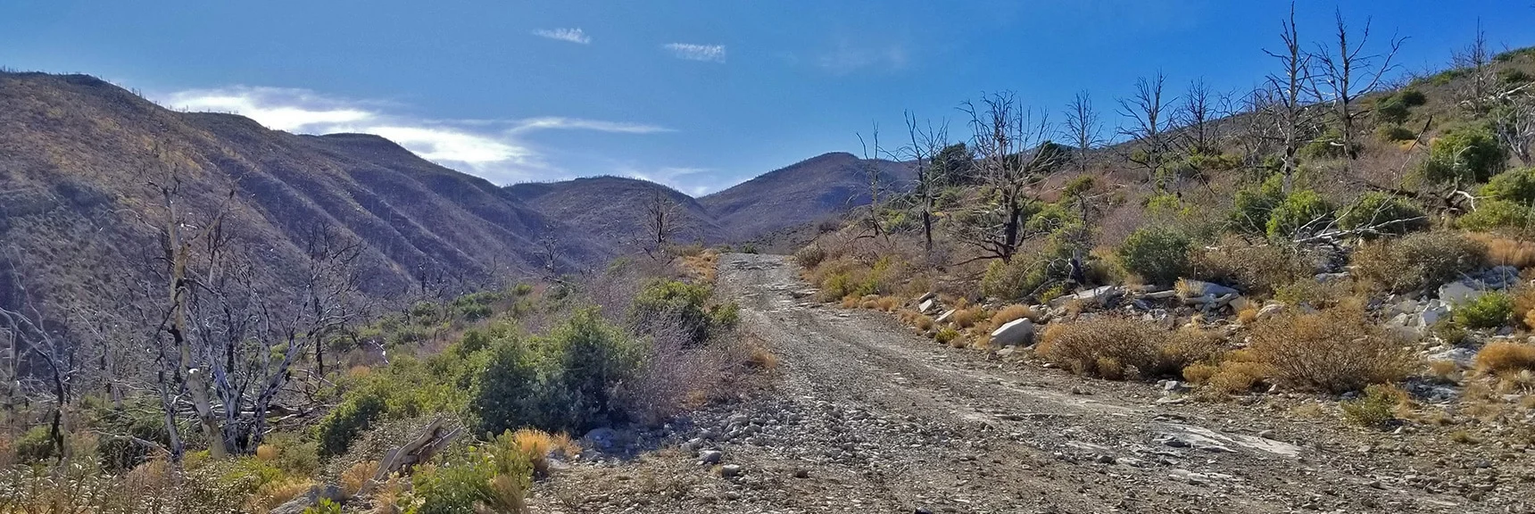 Heading Up Harris Mountain Rd Toward Harris Mt. Skirting Canyon on Left. | Harris Springs Rd, Harris Mountain Rd | Spring Mountains Wilderness, Nevada