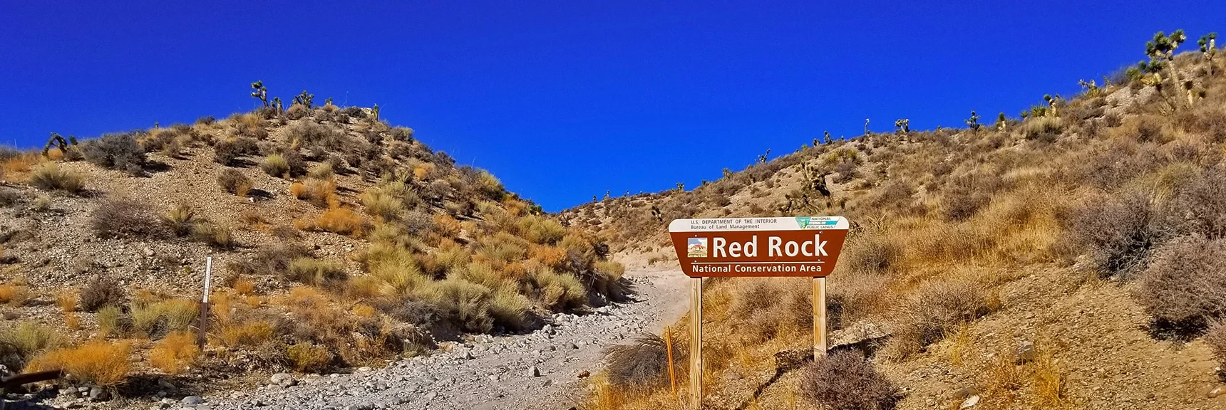 Angel Peak | Mt Charleston Wilderness | Spring Mountains, Nevada
