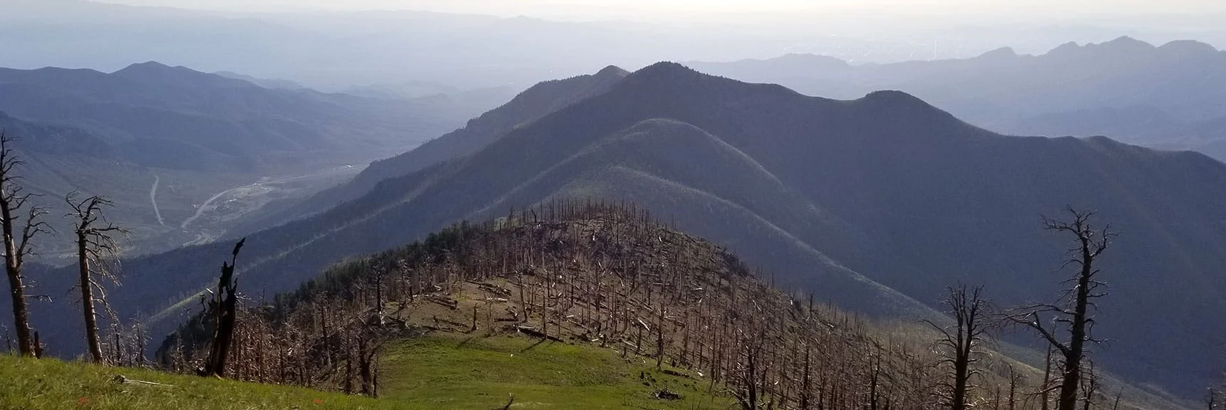 Heading Down Griffith Peak Toward Harris Peak