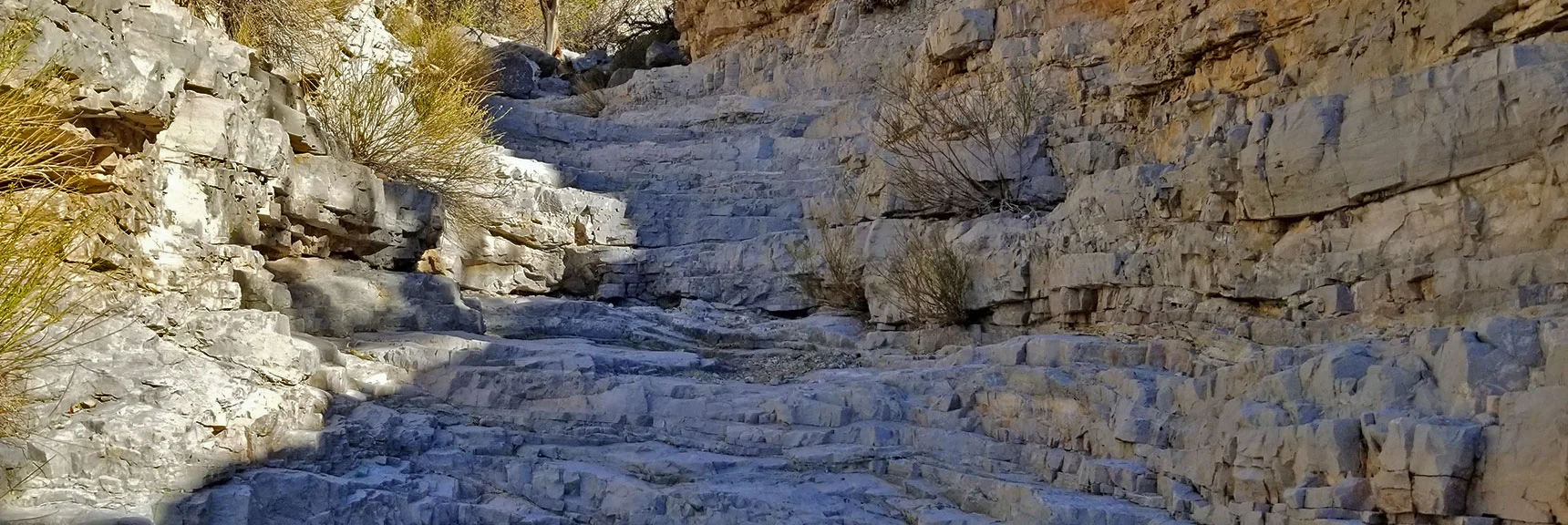 Kraft Mountain / Gateway Canyon Loop | Calico Basin, Nevada