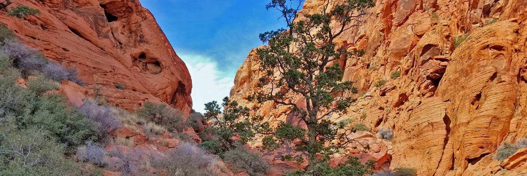 Grand Circle | Calico Basin, Nevada