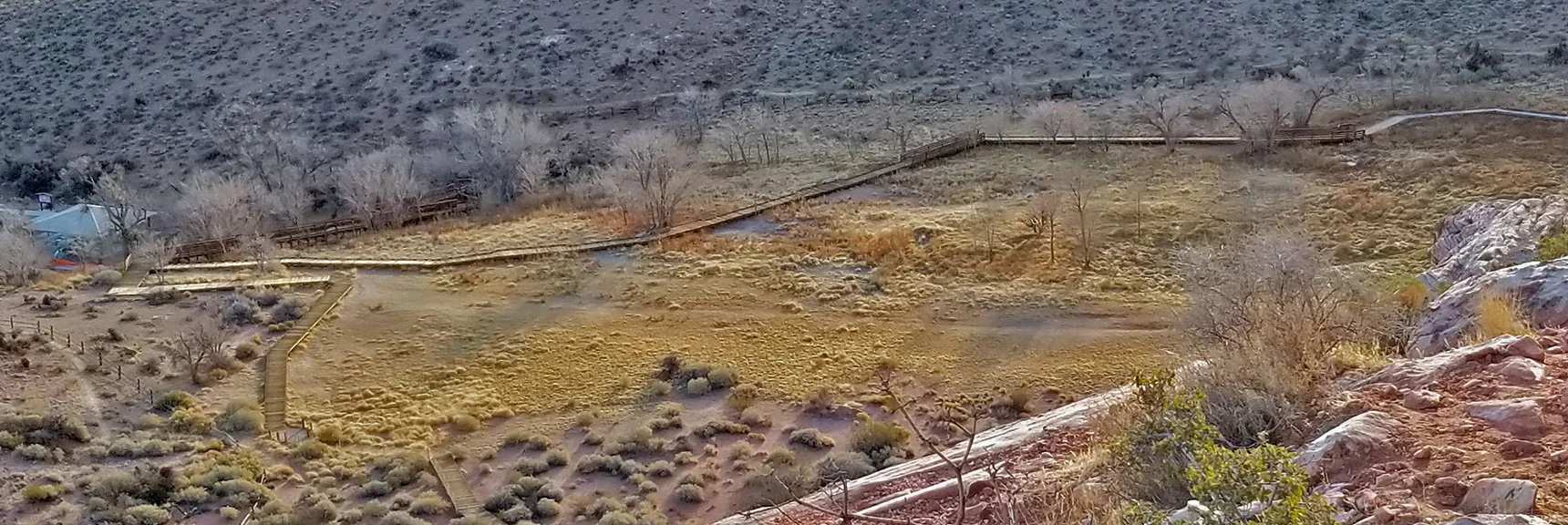 Red Springs Desert Oasis | Calico Basin, Nevada