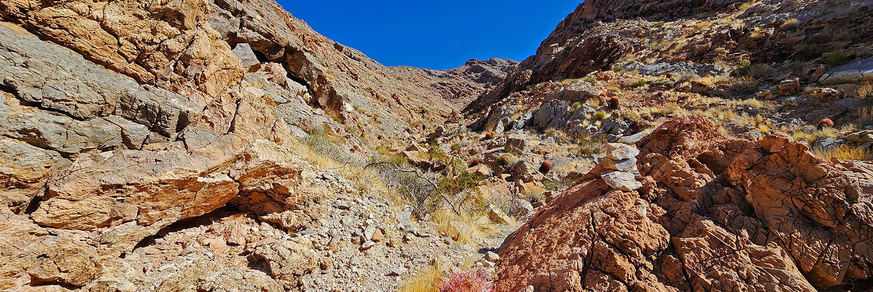Continue Up Southern Ascent Gully | Sunrise Mountain Near Lake Mead National Recreation Area | Las Vegas Metro & Surrounding Areas, Nevada