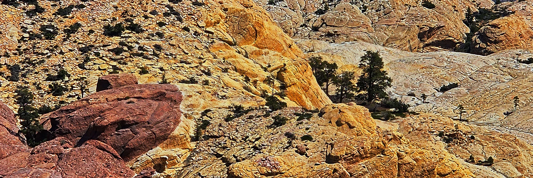 Descending Sandstone Stretch in the Descent Ridge. | Bridge Mountain | Rainbow Mountain Wilderness, Nevada