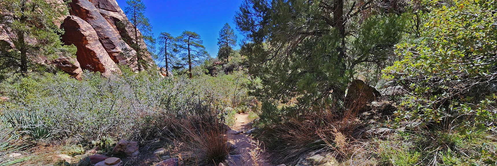 Nice Trail Above the Red Rock Ridge. Heading Toward the Boulder Field | Juniper Peak Summit | Rainbow Mountain Wilderness, Nevada