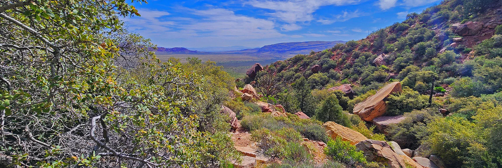 View Back Down Juniper Canyon Near Its Opening | Juniper Peak Summit | Rainbow Mountain Wilderness, Nevada