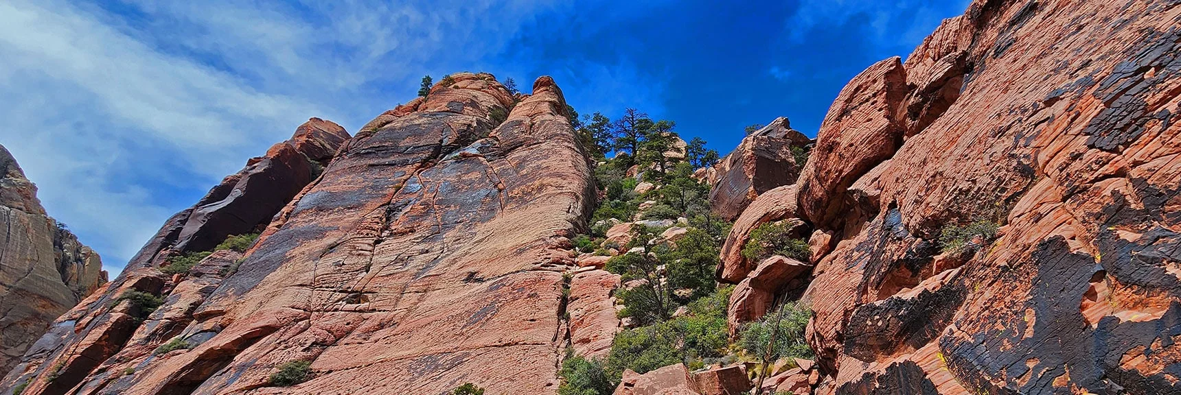 Here's the Summit Approach Tree-Lined Ramp. | Juniper Peak Summit | Rainbow Mountain Wilderness, Nevada