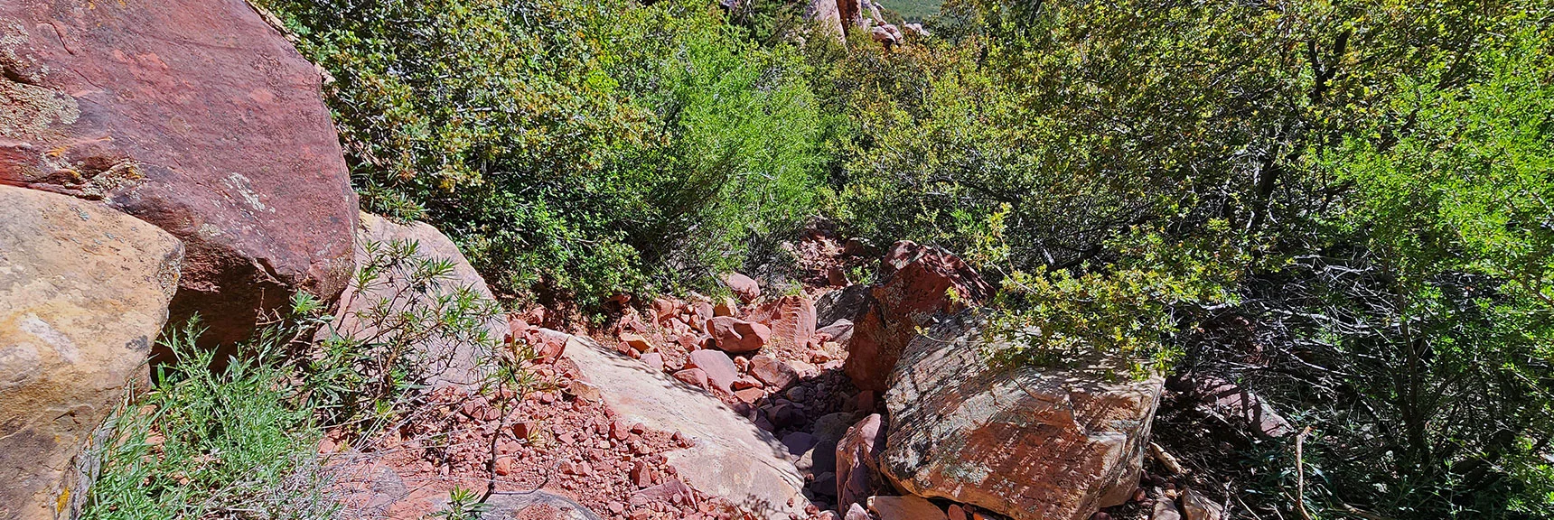 Ascending Red Rock to Left Side of Upper Canyon | Juniper Peak Summit | Rainbow Mountain Wilderness, Nevada