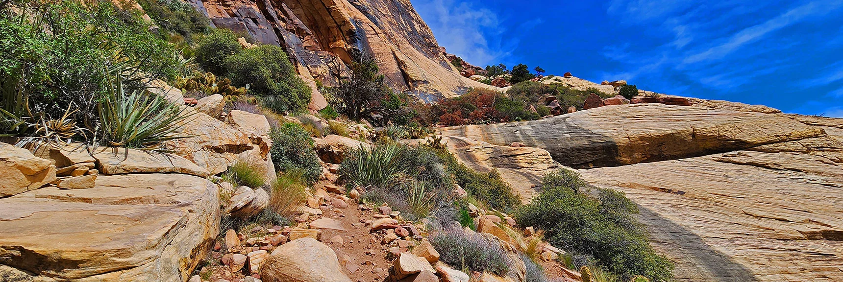 Trail Appears Near Upper Sandstone Slab. Turn Left at Edge of Brownstone Wall | Juniper Peak Summit | Rainbow Mountain Wilderness, Nevada