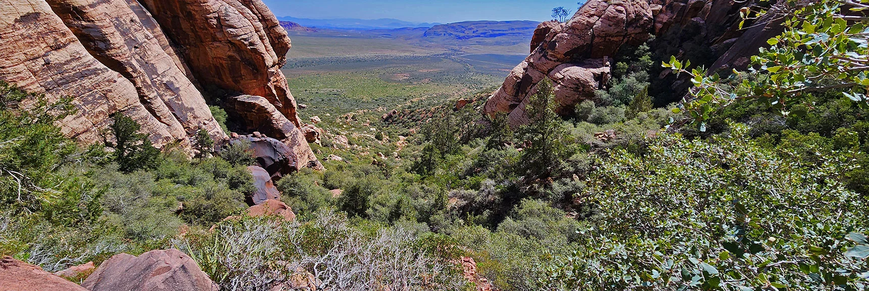 View Down Juniper Canyon from the Red Rock Ridge Stretch | Juniper Peak Summit | Rainbow Mountain Wilderness, Nevada
