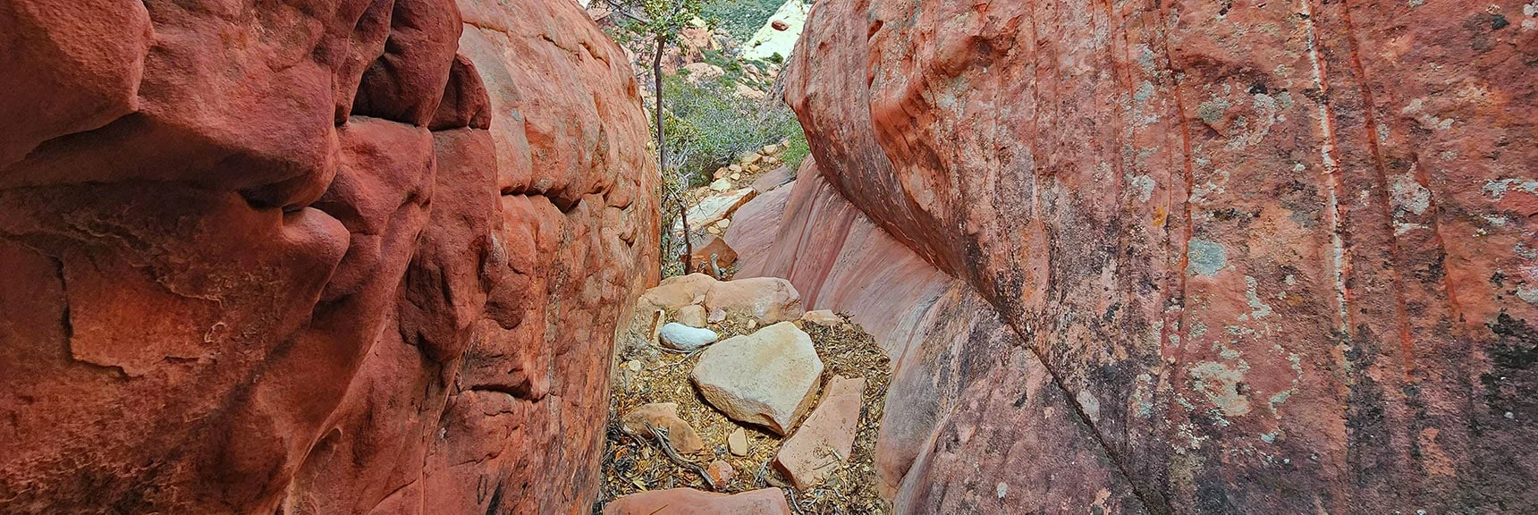 Now on Final Summit Approach. Incline Decreasing, | Juniper Peak Summit | Rainbow Mountain Wilderness, Nevada