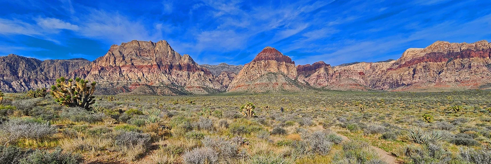 Juniper Peak is the Smaller Peak Between Rainbow Peak and Bridge Mt. | Juniper Peak Summit | Rainbow Mountain Wilderness, Nevada