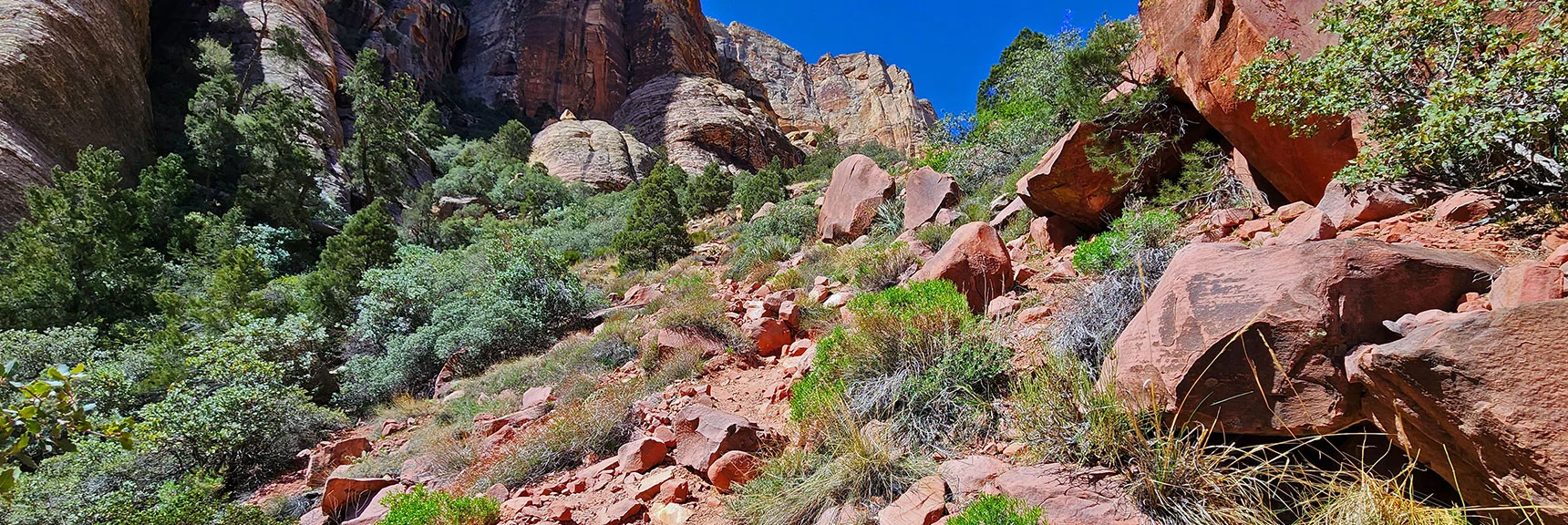 Boulders Smaller Around the Red Rock Ridge Stretch | Juniper Peak Summit | Rainbow Mountain Wilderness, Nevada
