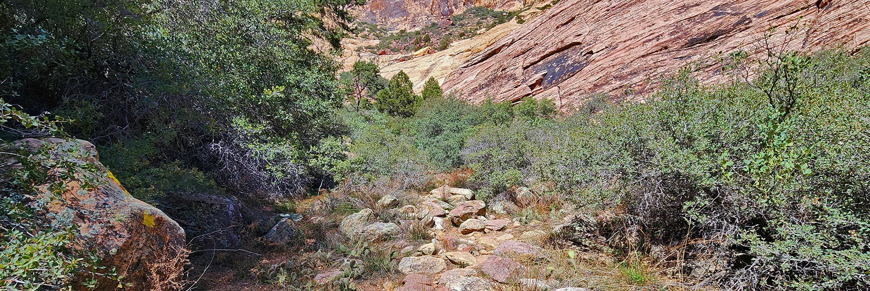 Continuing Toward Boulder Field. Sandstone Slab Above | Juniper Peak Summit | Rainbow Mountain Wilderness, Nevada