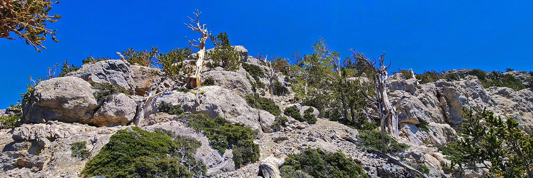 Navigate Along South Side of North Sister Summit, Circle, Ascend East Side | Sisters South to the Sisters North | Mt. Charleston Wilderness | Spring Mountains, Nevada
