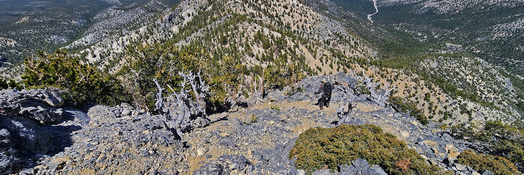 Begin Steep "Devil's Plunge" Descent Down North Slope of North Sister | Sisters South to the Sisters North | Mt. Charleston Wilderness | Spring Mountains, Nevada
