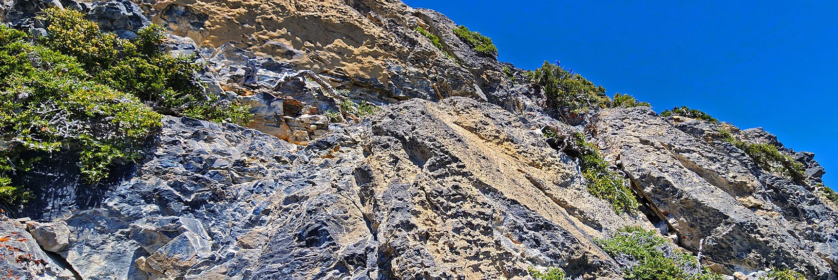 Traverse Saddle by Navigating Narrow Ledges Along Side of Cliff | Sisters South to the Sisters North | Mt. Charleston Wilderness | Spring Mountains, Nevada
