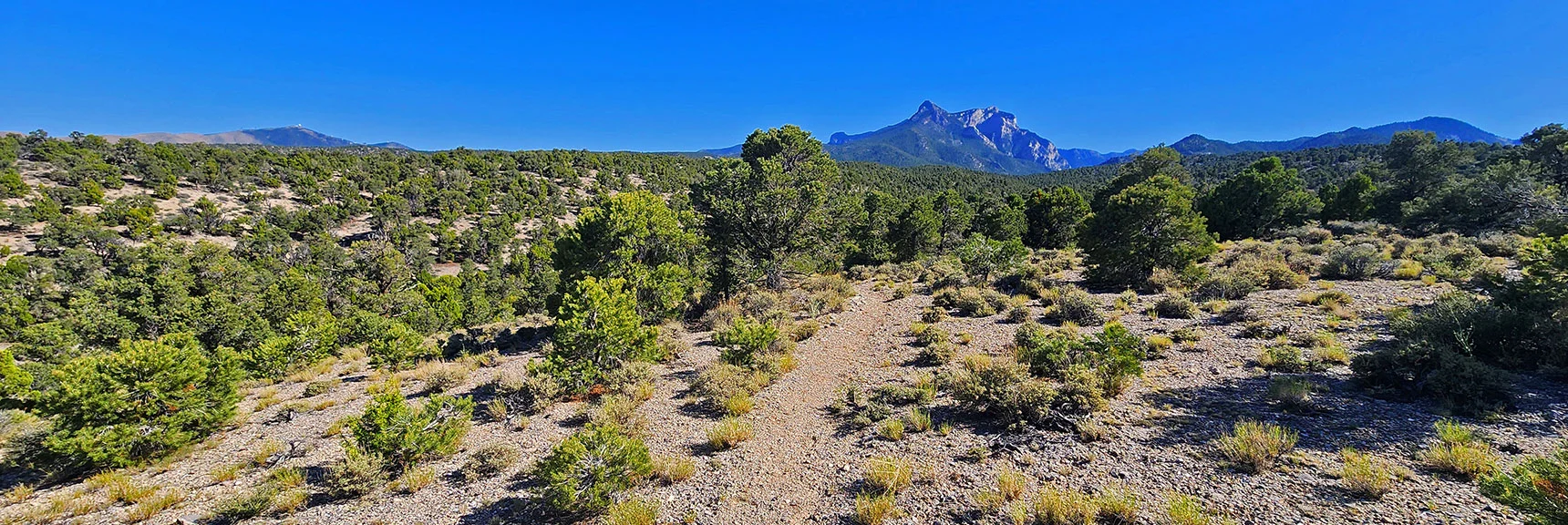 Continuing Toward Mummy's Head. Angel Peak Comes into View. | Pinyon Pine Loop Trail | Lee Canyon | Mt. Charleston Wilderness | Spring Mountains, Nevada