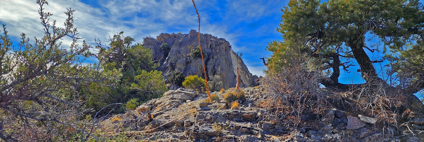Approaching North Peak | North Upper Crest Ridgeline | Rainbow Mountain Wilderness, Nevada