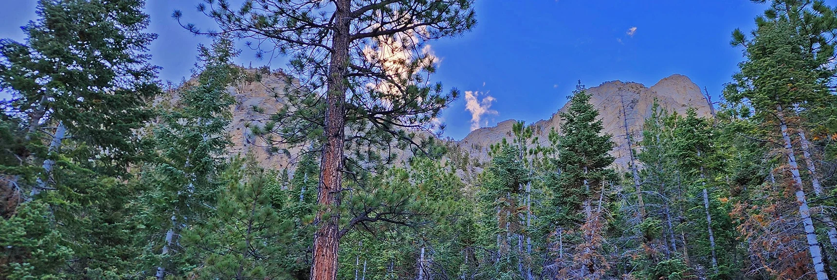 Should Have Ascended to Left of Hill to Left, Instead Ascended to Right of Hill | Mummy Mountain Head from Lee Canyon Road | Mt Charleston Wilderness | Spring Mountains, Nevada