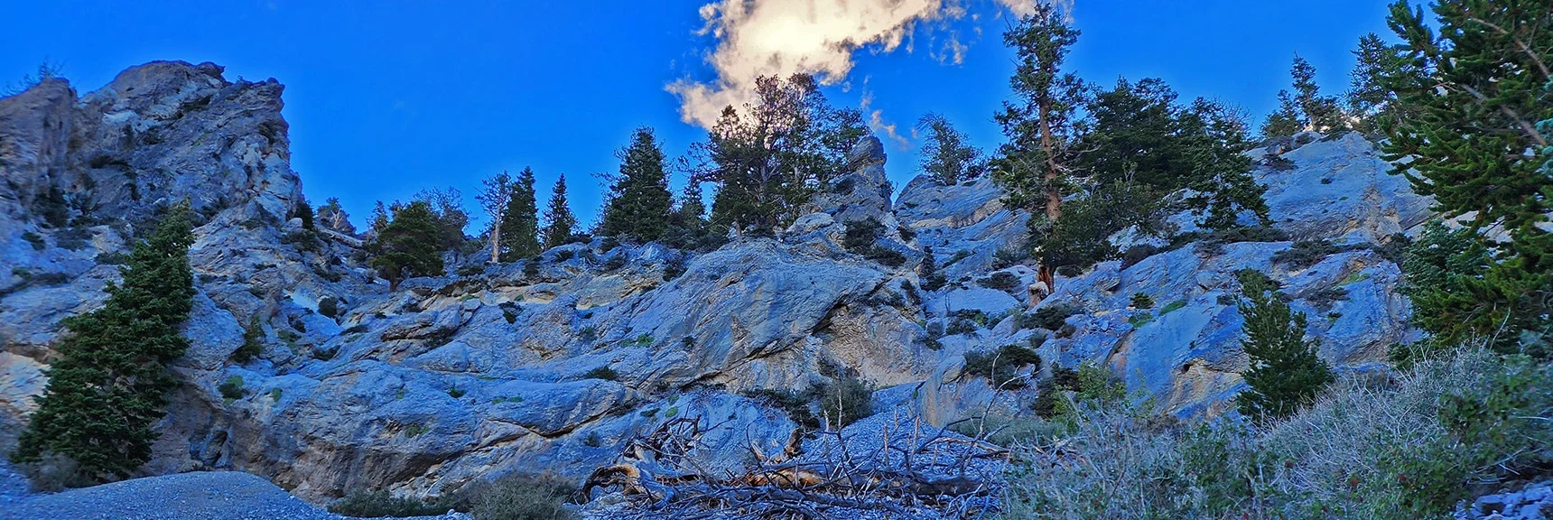 May Be in a Box Canyon at This Point. Continuing to Explore. | Mummy Mountain Head from Lee Canyon Road | Mt Charleston Wilderness | Spring Mountains, Nevada