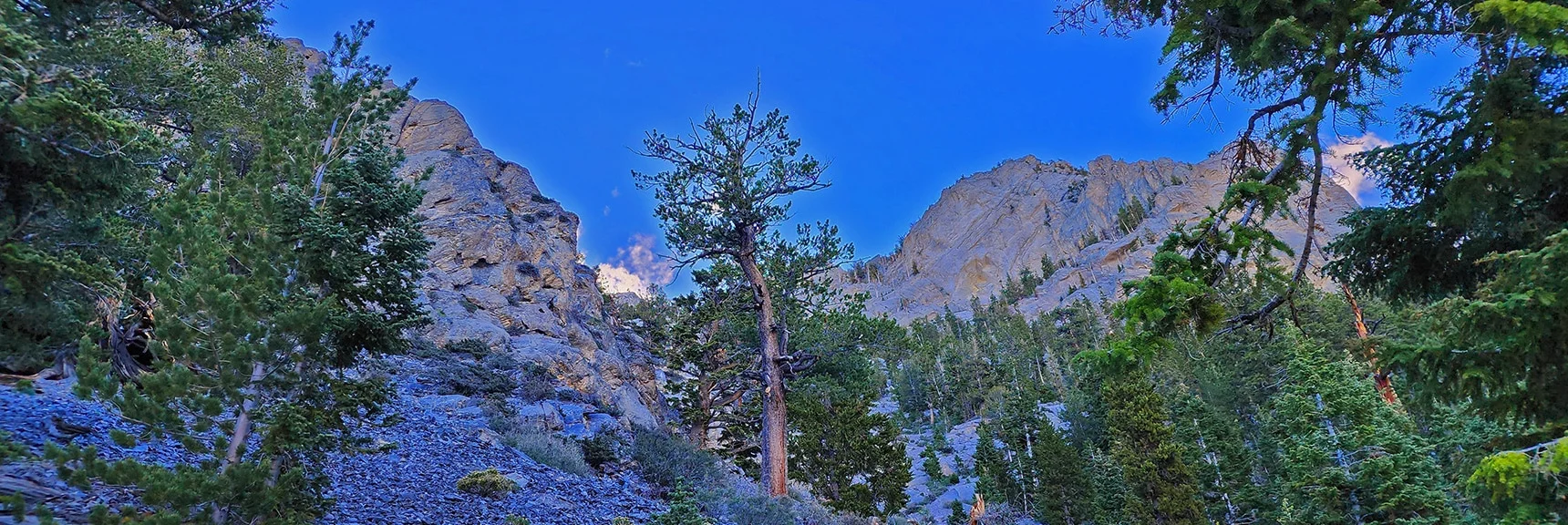 May Be Heading Up a Dead-End Channel Between 2 Features Ahead | Mummy Mountain Head from Lee Canyon Road | Mt Charleston Wilderness | Spring Mountains, Nevada