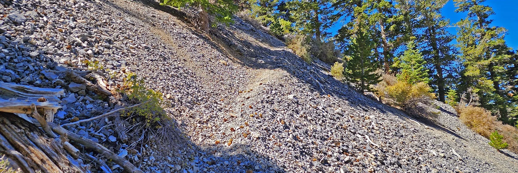 Main Mummy's Head Approach Trail Descending into the Long Approach Wash | Mummys Head | Lee Canyon | Mt Charleston Wilderness | Spring Mountains, Nevada