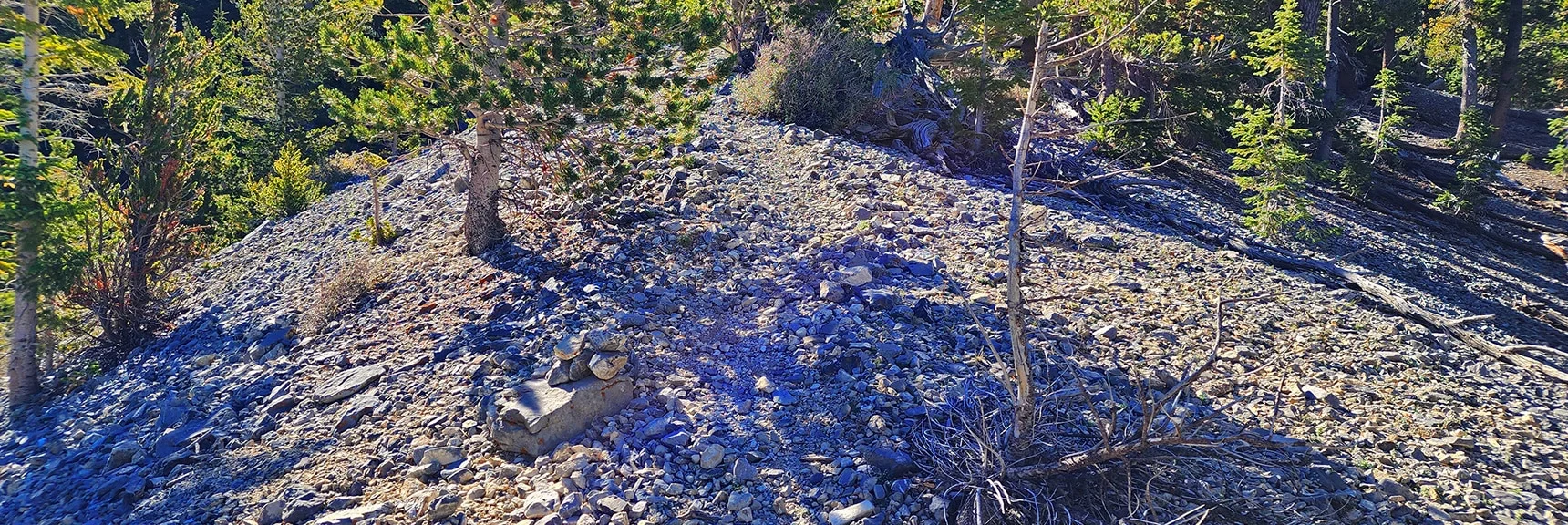 Finally Discovered the Main Mummy's Head Trail Along a Ridgetop | Mummys Head | Lee Canyon | Mt Charleston Wilderness | Spring Mountains, Nevada