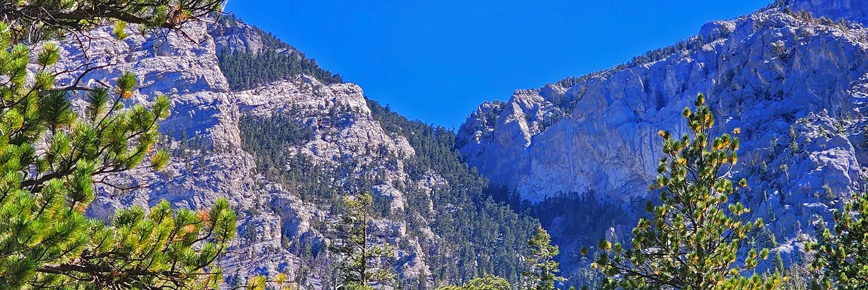View of the "V" Mummy's Head Final Summit Approach from Its Approach Wash Below | Mummys Head | Lee Canyon | Mt Charleston Wilderness | Spring Mountains, Nevada
