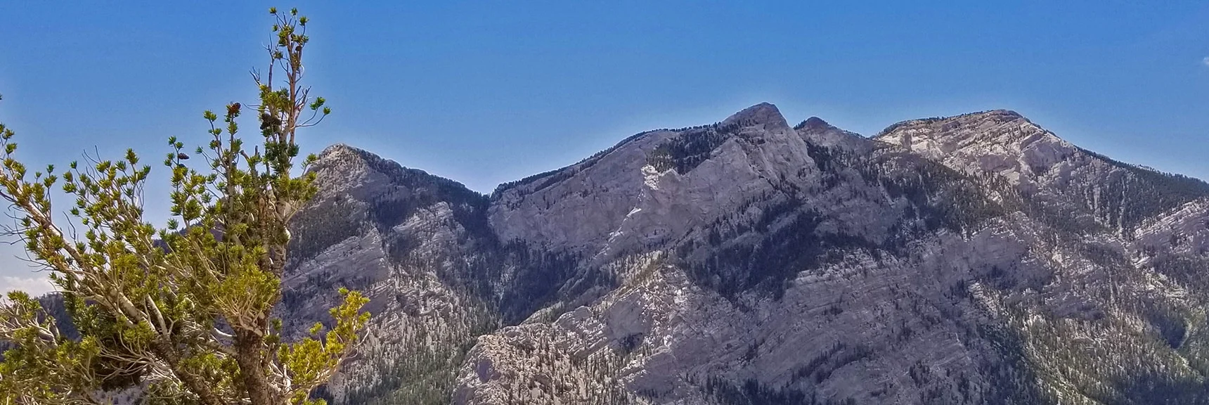 Mummy's Head Area Viewed from Across Lee Canyon Near Sisters North | Mummy Mountain Head from Lee Canyon Road | Mt Charleston Wilderness | Spring Mountains, Nevada