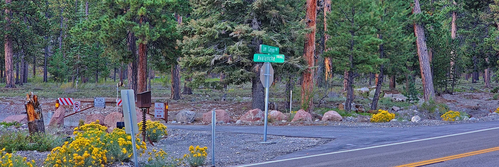 Approach Begins at Intersection of Lee Canyon and Avalanche Trail Roads | Mummy Mountain Head from Lee Canyon Road | Mt Charleston Wilderness | Spring Mountains, Nevada