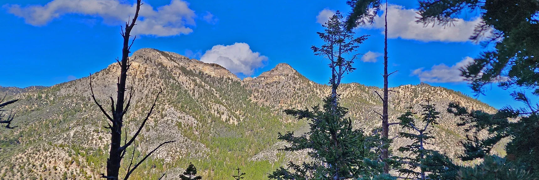 Sisters South, North and Black Rock Across Lee Canyon | Mummy Mountain Head from Lee Canyon Road | Mt Charleston Wilderness | Spring Mountains, Nevada
