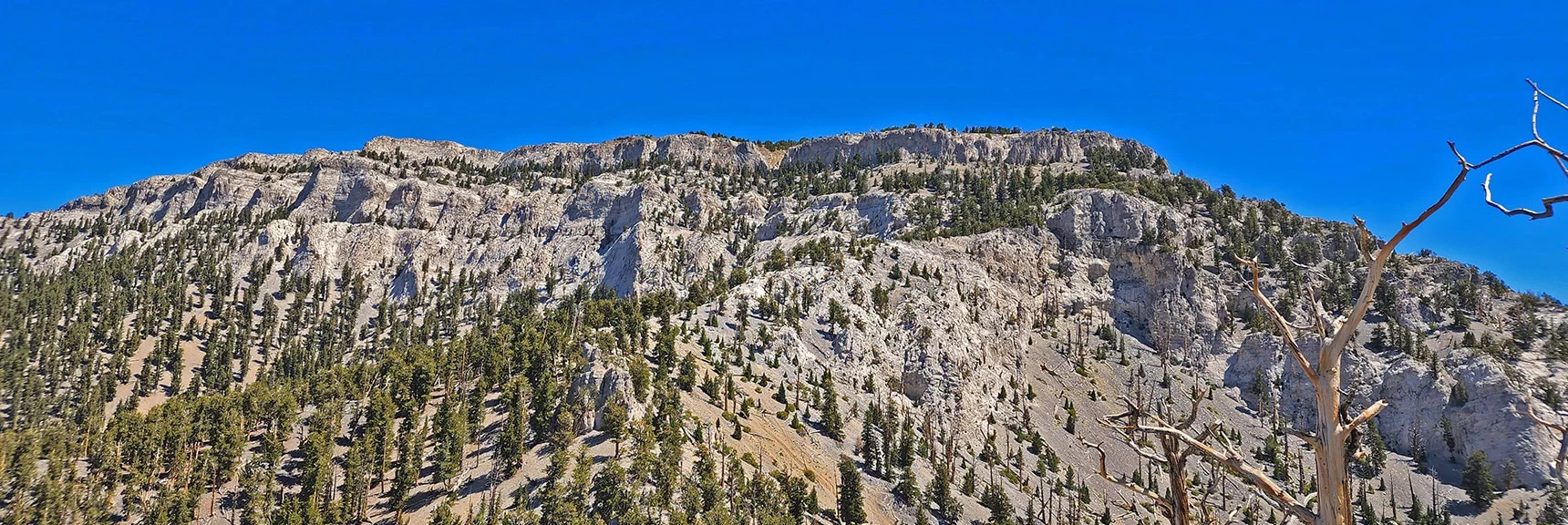 Approaching Summit of the Traditional Avalanche Slope Ascent and Popular Summit Route | Mummy Mountain Grand Crossing | Lee Canyon to Deer Creek Road | Mt Charleston Wilderness | Spring Mountains, Nevada |