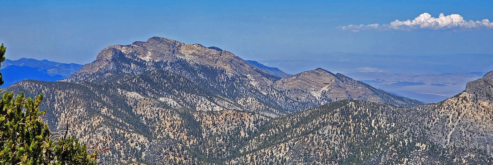 McFarland Peak from Lee/Kyle Canyon Upper Ridgeline | Mummy Mountain Grand Crossing | Lee Canyon to Deer Creek Road | Mt Charleston Wilderness | Spring Mountains, Nevada |