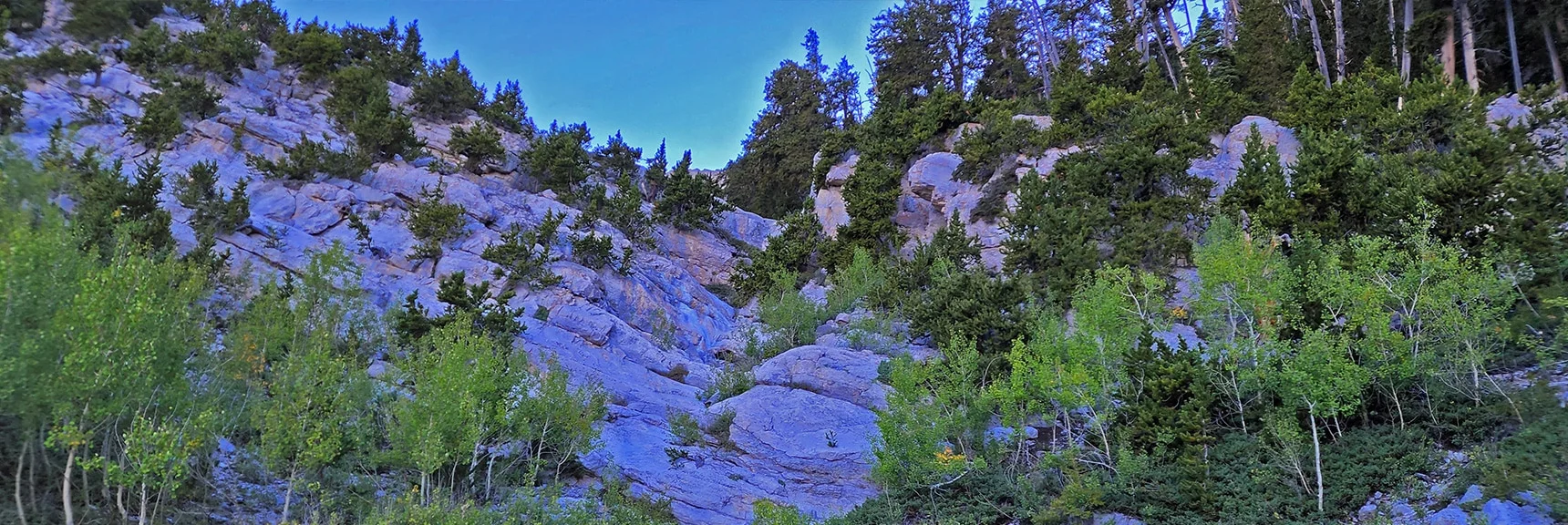 View Up the Second Canyon Wash of Three Canyons | Mummy Mountain Grand Crossing | Lee Canyon to Deer Creek Road | Mt Charleston Wilderness | Spring Mountains, Nevada |