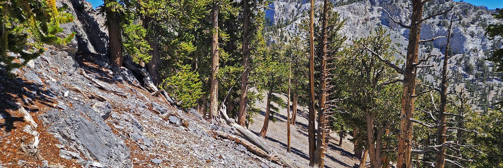 Navigating Around Rocky Barriers on Lee/Kyle Canyon Upper Ridgeline | Mummy Mountain Grand Crossing | Lee Canyon to Deer Creek Road | Mt Charleston Wilderness | Spring Mountains, Nevada |