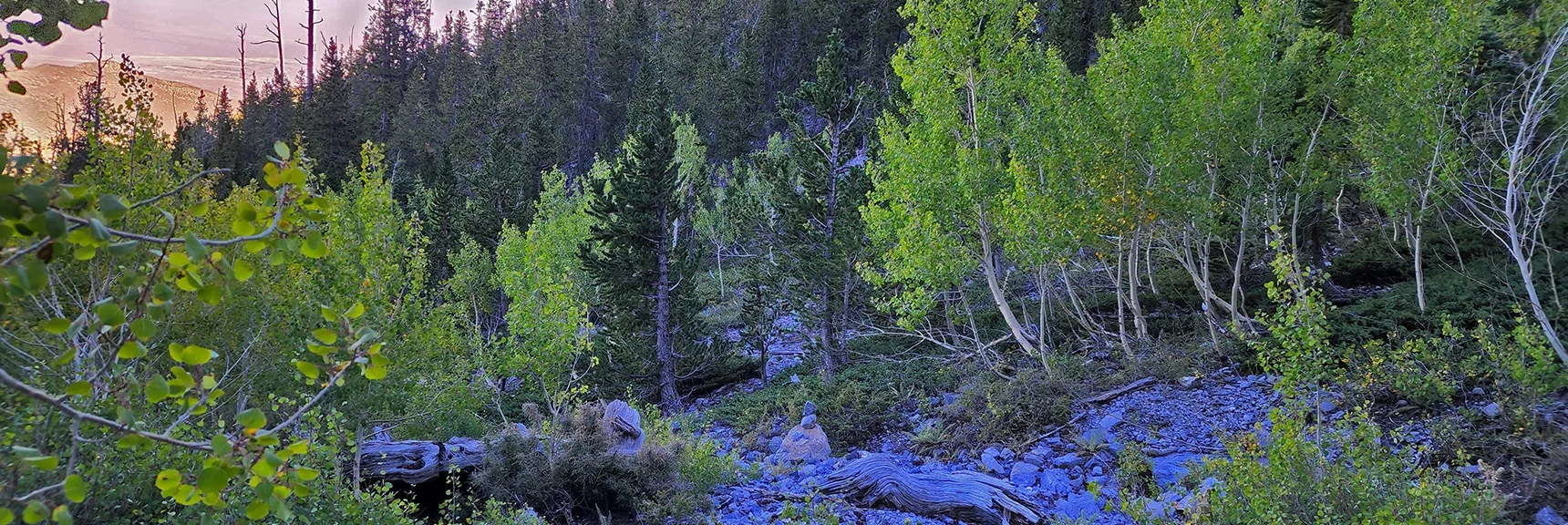 2nd of Three Washes to Cross During This Final Wilderness Stretch | Mummy Mountain Grand Crossing | Lee Canyon to Deer Creek Road | Mt Charleston Wilderness | Spring Mountains, Nevada |