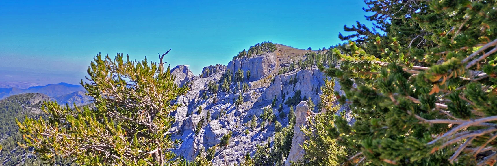 Looking Back on the Summit Area and Cliffs from Beginning of the Descent Route | Mummy Mountain Grand Crossing | Lee Canyon to Deer Creek Road | Mt Charleston Wilderness | Spring Mountains, Nevada |