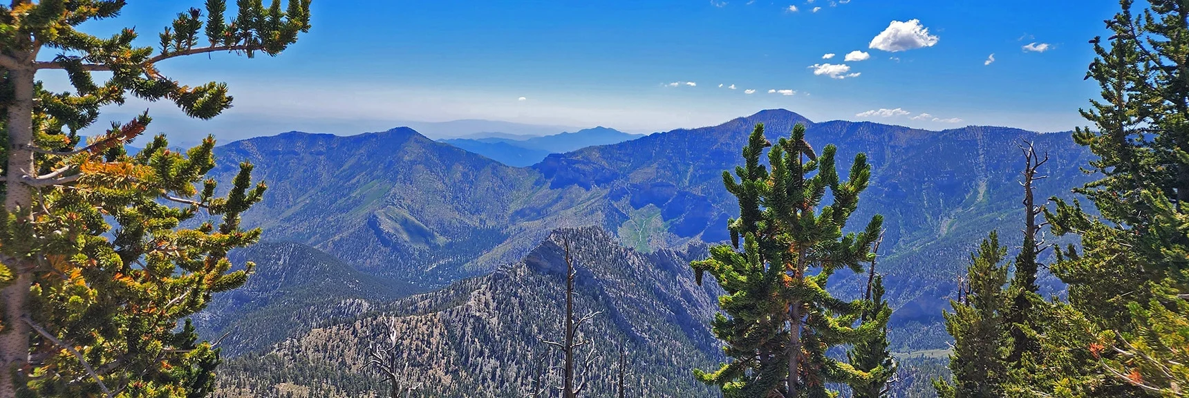 View to Cockscomb Ridge, Harris Mt, Griffith Peak and Potosi Mountain Distant Between | Mummy Mountain Grand Crossing | Lee Canyon to Deer Creek Road | Mt Charleston Wilderness | Spring Mountains, Nevada |