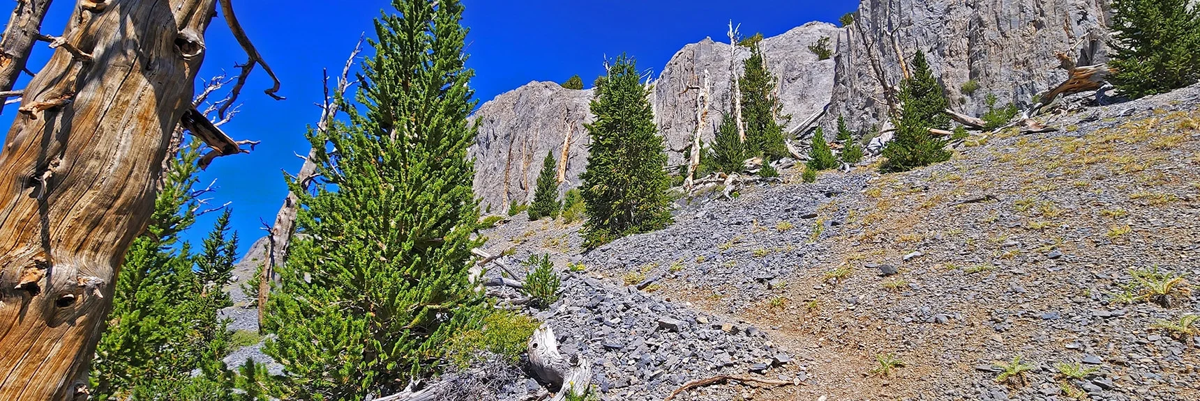 Approaching the Final Approach Cliff Opening. Great Trail Along the Ledge | Mummy Mountain Grand Crossing | Lee Canyon to Deer Creek Road | Mt Charleston Wilderness | Spring Mountains, Nevada |